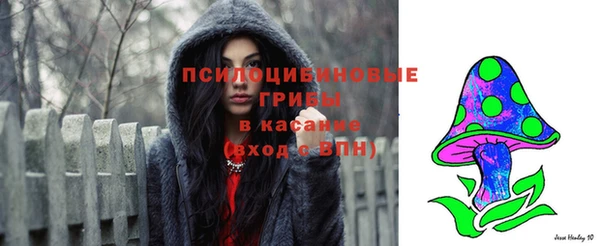 мескалин Богородицк