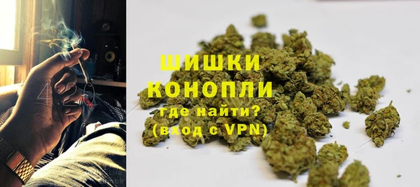 амф Богданович