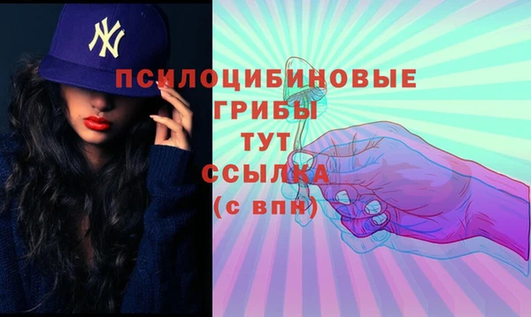 дурь Бронницы