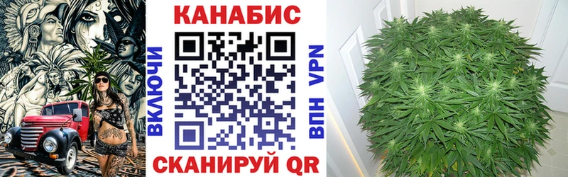 Бошки марихуана Bruce Banner  Электроугли 